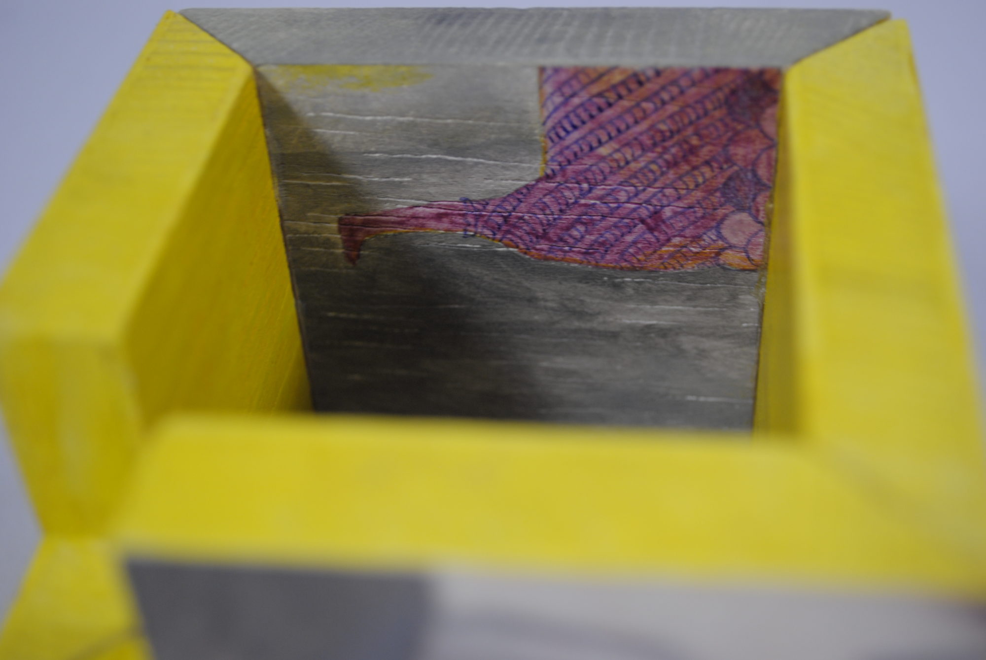 Naiana Vatavu_Eul ideal6