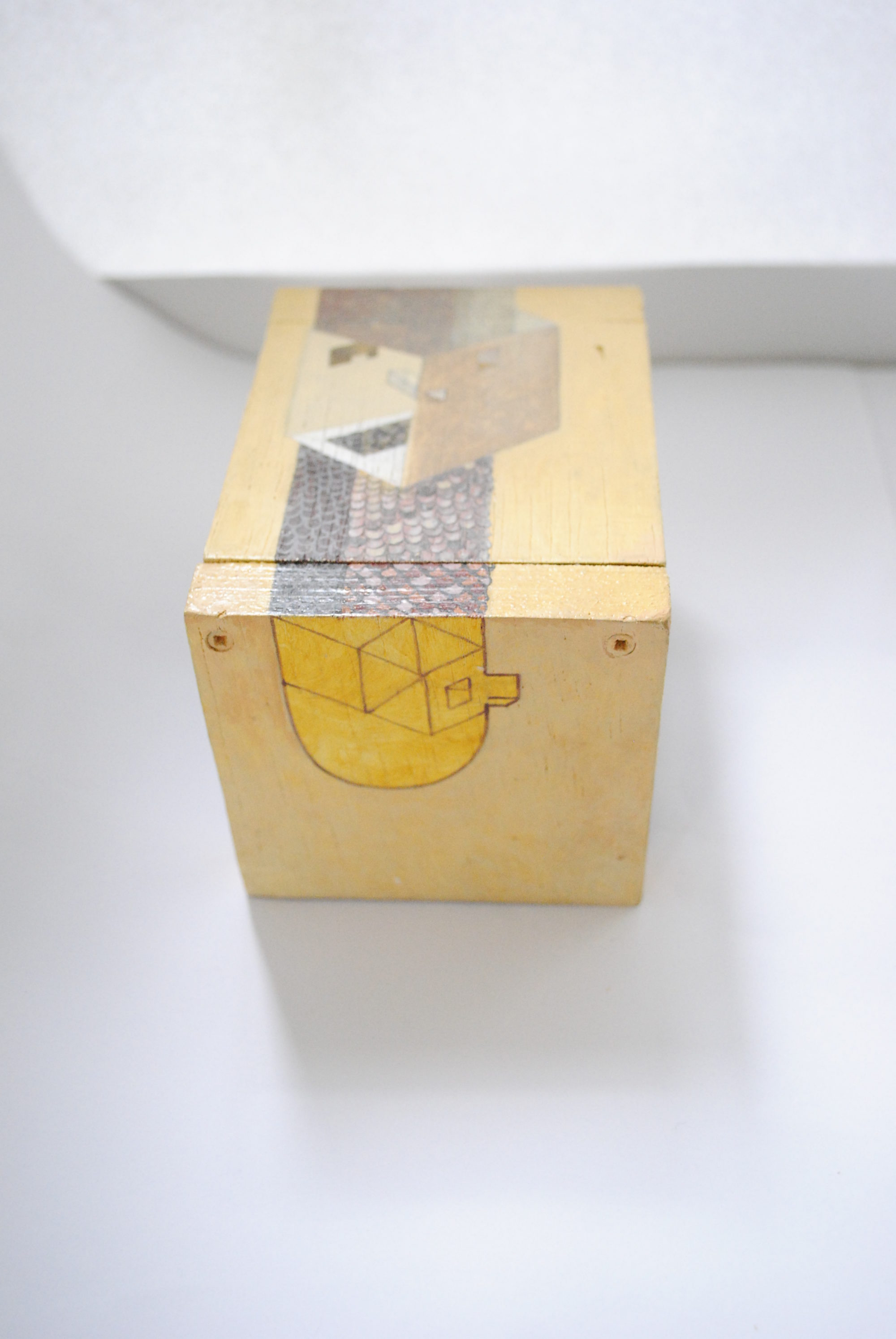 NaianaVatavu_Cutia aurie1